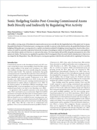 Full-text