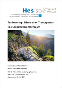 Moreau_Yannik_2021_BAOhneAnhang.pdf