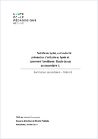FSEC_2023_TER_Personeni_Valerio.pdf