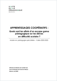 FPS_2023_MEM_PoseCamille.pdf