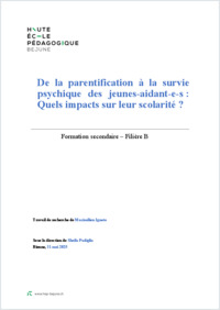 FSEC_2025_TER_Ignoto_Maximilien.pdf