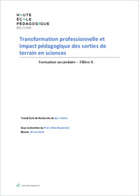 FSEC_2025_TER_Vuillez_Igor.pdf